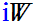 iW logo (setting)